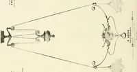 An illustration from Electric fixtures & glassware : F & G section, 13th ed. (1911)