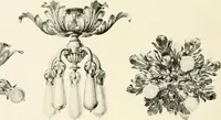 An illustration from Electric fixtures & glassware : F & G section, 13th ed. (1911)