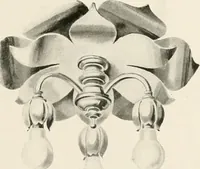 An illustration from Electric fixtures & glassware : F & G section, 13th ed. (1911)