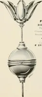Picture 28 of 597 from Electric fixtures & glassware : F & G section, 13th ed. (1911), leaf 24
