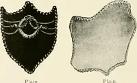 Picture 578 of 597 from Electric fixtures & glassware : F & G section, 13th ed. (1911), leaf 279