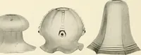 An illustration from Electric fixtures & glassware : F & G section, 13th ed. (1911)