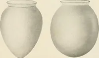 An illustration from Electric fixtures & glassware : F & G section, 13th ed. (1911)