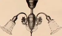 An illustration from Electric, gas, and combination lighting fixtures : table lamps, floor lamps, electrical wiring material, lighting glassware / Sears, Roebuck and Co. (1900)