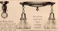 An illustration from Electric, gas, and combination lighting fixtures : table lamps, floor lamps, electrical wiring material, lighting glassware / Sears, Roebuck and Co. (1900)