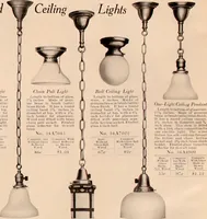 An illustration from Electric, gas, and combination lighting fixtures : table lamps, floor lamps, electrical wiring material, lighting glassware / Sears, Roebuck and Co. (1900)