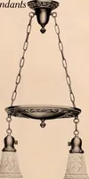 An illustration from Electric, gas, and combination lighting fixtures : table lamps, floor lamps, electrical wiring material, lighting glassware / Sears, Roebuck and Co. (1900)