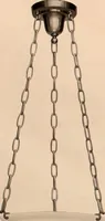 An illustration from Electric, gas, and combination lighting fixtures : table lamps, floor lamps, electrical wiring material, lighting glassware / Sears, Roebuck and Co. (1900)
