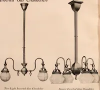 An illustration from Electric, gas, and combination lighting fixtures : table lamps, floor lamps, electrical wiring material, lighting glassware / Sears, Roebuck and Co. (1900)
