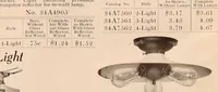An illustration from Electric, gas, and combination lighting fixtures : table lamps, floor lamps, electrical wiring material, lighting glassware / Sears, Roebuck and Co. (1900)