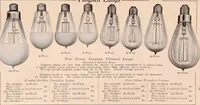 An illustration from Electric, gas, and combination lighting fixtures : table lamps, floor lamps, electrical wiring material, lighting glassware / Sears, Roebuck and Co. (1900)