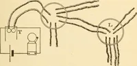 An illustration from Electricians' operating and testing manual; (1910)