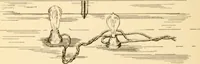 Picture 121 of 156 from Electricians' operating and testing manual; (1910), leaf 294