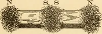 An illustration from Electricians' operating and testing manual; a hand book for men in charge of electrical apparatus, repair men, trouble men, lamp trimmers, and electricians generally (1916)