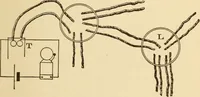 An illustration from Electricians' operating and testing manual; a hand book for men in charge of electrical apparatus, repair men, trouble men, lamp trimmers, and electricians generally (1916)