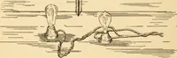 Picture 117 of 148 from Electricians' operating and testing manual; a hand book for men in charge of electrical apparatus, repair men, trouble men, lamp trimmers, and electricians generally (1916), leaf 298