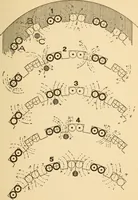 Picture 38 of 148 from Electricians' operating and testing manual; a hand book for men in charge of electrical apparatus, repair men, trouble men, lamp trimmers, and electricians generally (1916), leaf 95