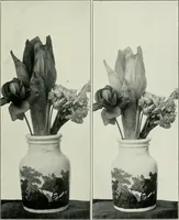 Picture 57 of 78 from Flame, electricity and the camera; man's progress from the first kindling of fire to the wireless telegraph and the photography of color (1900), leaf 332