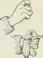 An illustration from Flame, electricity and the camera; man's progress from the first kindling of fire to the wireless telegraph and the photography of color (1900)