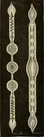 An illustration from Electricity for everybody; its nature and uses explained (1895)