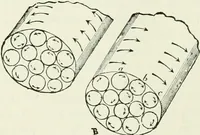 An illustration from Electricity for public schools and colleges (1891)