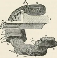 Picture 109 of 122 from Electricity for public schools and colleges (1891), leaf 416