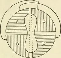 An illustration from Electricity and magnetism : an elementary text-book, theoretical and practical (1920)