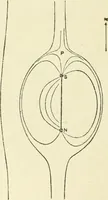Picture 36 of 152 from Electricity and magnetism : an elementary text-book, theoretical and practical (1920), leaf 126