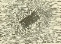 An illustration from Electricity and magnetism : an elementary text-book, theoretical and practical (1920)