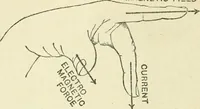 An illustration from Electricity and magnetism : an elementary text-book, theoretical and practical (1920)