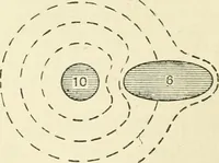 Picture 12 of 152 from Electricity and magnetism : an elementary text-book, theoretical and practical (1920), leaf 52