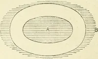An illustration from Electricity and magnetism : an elementary text-book, theoretical and practical (1920)