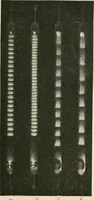 An illustration from Electricity and magnetism for advanced students (1920)