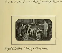 Picture 3 of 16 from Electricity on the farm (1912), leaf 54