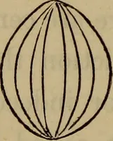 An illustration from Electricity treated experimentally (1887)