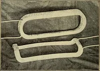 An illustration from The electric motor and the transmission of power (1906)