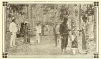 Picture 16 of 16 from Electric vehicles (1911), leaf 353