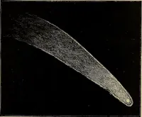An illustration from Electro astronomical atlas ... with explanatory notes, questions and answers (1874)