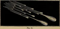 An illustration from Electro astronomical atlas ... with explanatory notes, questions and answers (1874)