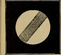 An illustration from Electro astronomical atlas ... with explanatory notes, questions and answers (1874)