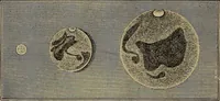An illustration from Electro astronomical atlas ... with explanatory notes, questions and answers (1874)