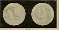 An illustration from Electro astronomical atlas ... with explanatory notes, questions and answers (1874)