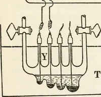 An illustration from Electrochemical investigation of liquid amalgams of thallium, indium, tin, zinc, cadmium, lead, copper, and lithium (1909)