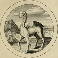 Picture 8 of 42 from Elegantissimorum emblematum corpusculum Latinis Belgicisque versibus elucidatum. Versameling van uytgeleesene sinne-beelden met latynse en nederduitse verklaringen in rym (1696), leaf 18