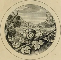 Picture 11 of 42 from Elegantissimorum emblematum corpusculum Latinis Belgicisque versibus elucidatum. Versameling van uytgeleesene sinne-beelden met latynse en nederduitse verklaringen in rym (1696), leaf 24