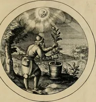 Picture 12 of 42 from Elegantissimorum emblematum corpusculum Latinis Belgicisque versibus elucidatum. Versameling van uytgeleesene sinne-beelden met latynse en nederduitse verklaringen in rym (1696), leaf 26