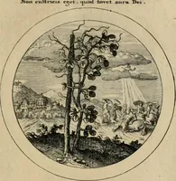 Picture 17 of 42 from Elegantissimorum emblematum corpusculum Latinis Belgicisque versibus elucidatum. Versameling van uytgeleesene sinne-beelden met latynse en nederduitse verklaringen in rym (1696), leaf 36