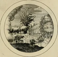 Picture 18 of 42 from Elegantissimorum emblematum corpusculum Latinis Belgicisque versibus elucidatum. Versameling van uytgeleesene sinne-beelden met latynse en nederduitse verklaringen in rym (1696), leaf 38