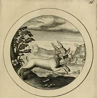 Picture 27 of 42 from Elegantissimorum emblematum corpusculum Latinis Belgicisque versibus elucidatum. Versameling van uytgeleesene sinne-beelden met latynse en nederduitse verklaringen in rym (1696), leaf 56