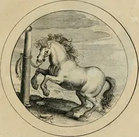 Picture 32 of 42 from Elegantissimorum emblematum corpusculum Latinis Belgicisque versibus elucidatum. Versameling van uytgeleesene sinne-beelden met latynse en nederduitse verklaringen in rym (1696), leaf 66